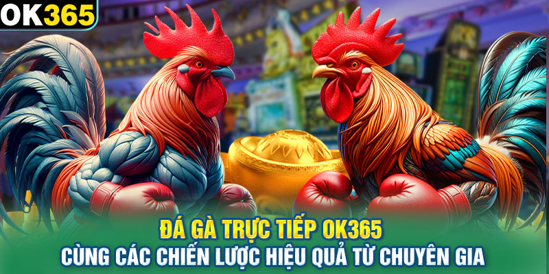 Đá gà trực tiếp cùng các chiến lược hiệu quả từ chuyên gia