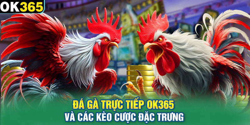 Đá gà trực tiếp và các kèo cược đặc trưng