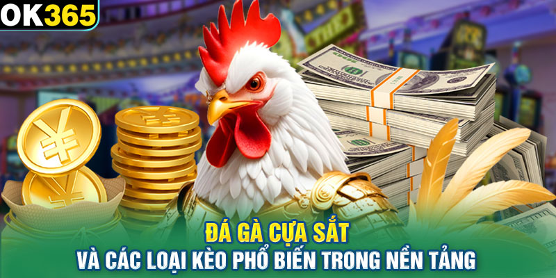 Đá gà cựa sắt và các loại kèo phổ biến trong nền tảng