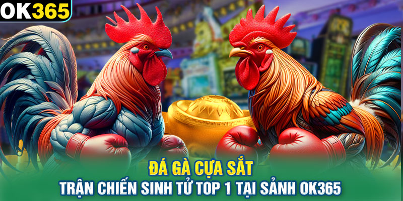 Đá Gà Cựa Sắt Trận Chiến Sinh Tử Top 1 Tại Sảnh OK365