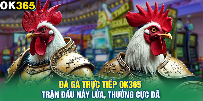 Đá Gà Trực Tiếp OK365 - Trận Đấu Nảy Lửa, Thưởng Cực Đã