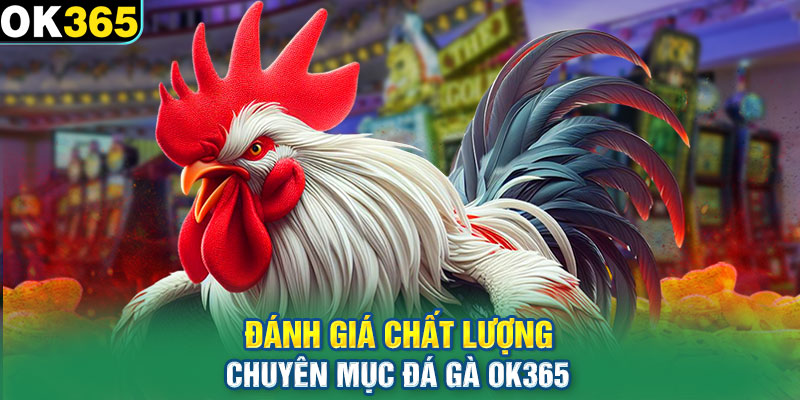 Đánh giá chất lượng chuyên mục đá gà OK365