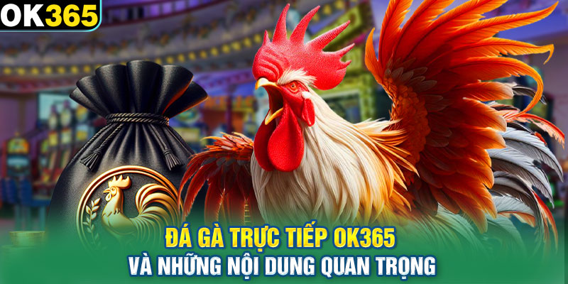 Đá gà trực tiếp và những nội dung quan trọng