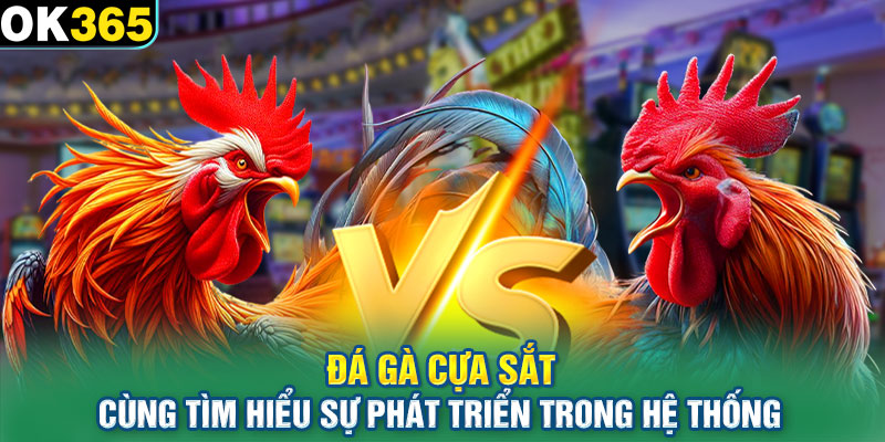 Đá gà cựa sắt cùng tìm hiểu sự phát triển trong hệ thống